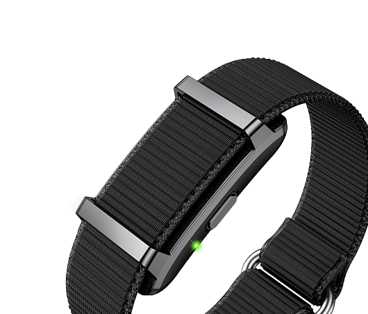 Smartband